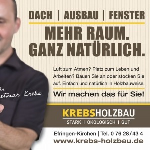 handwerk anzeigen werbung dachdecker